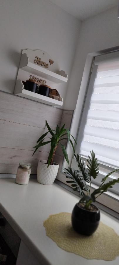 Queen Apartmancic Zaječar Buitenkant foto