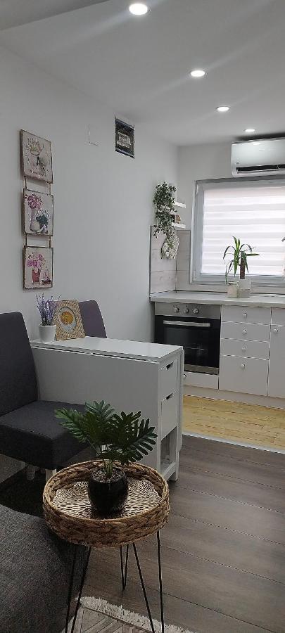 Queen Apartmancic Zaječar Buitenkant foto